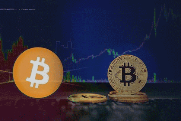 Websea重磅升级：保本跟单与直播间功能正式上线